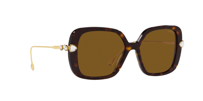 Swarovski | 6011F | Havana Polarised - iKANDi Sunglasses
