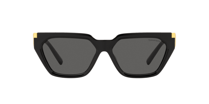 Tiffany & Co. | 4205U | Black - iKANDi Sunglasses