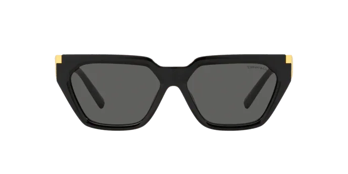 Tiffany & Co. | 4205U | Black - iKANDi Sunglasses