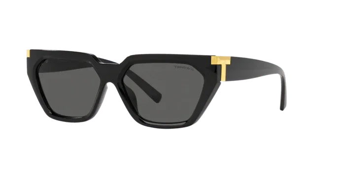 Tiffany & Co. | 4205U | Black - iKANDi Sunglasses
