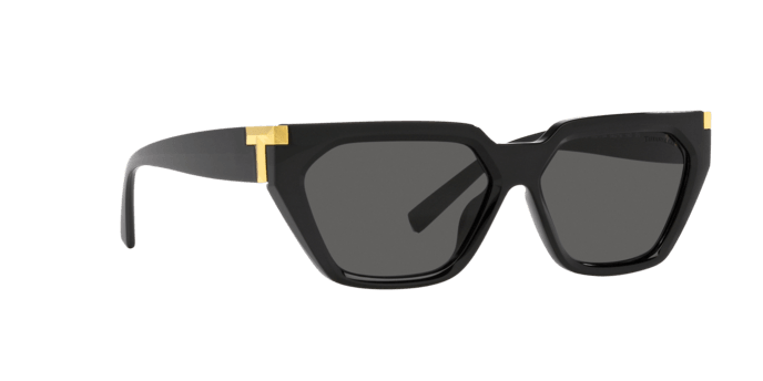 Tiffany & Co. | 4205U | Black - iKANDi Sunglasses