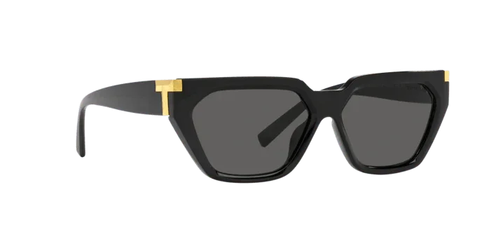 Tiffany & Co. | 4205U | Black - iKANDi Sunglasses