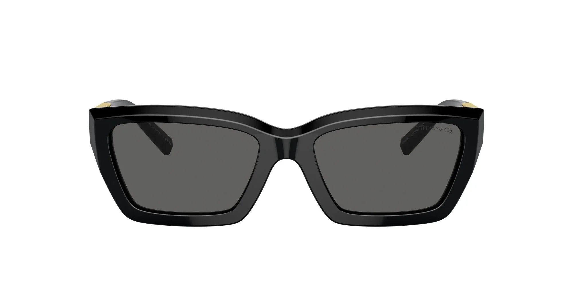 Tiffany & Co. | 4213 | Black - iKANDi Sunglasses