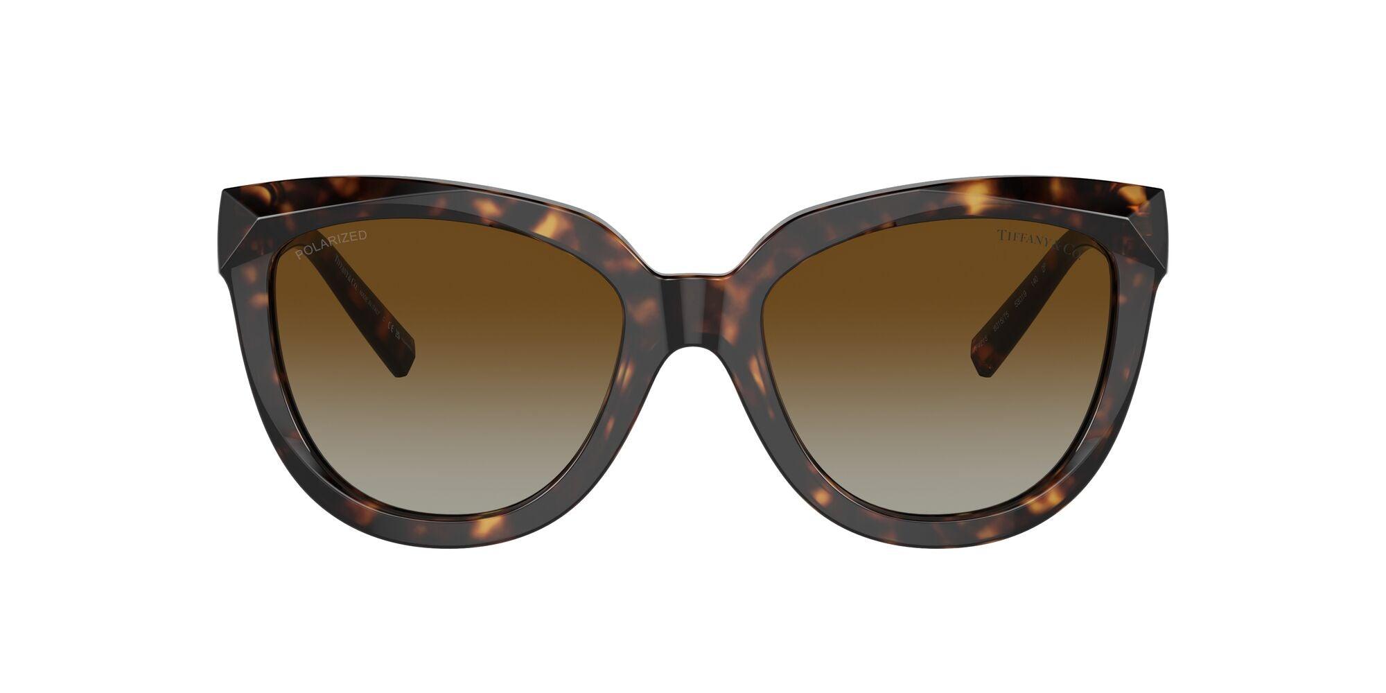 Tiffany & Co. | 4215 | Havana Polarised - iKANDi Sunglasses