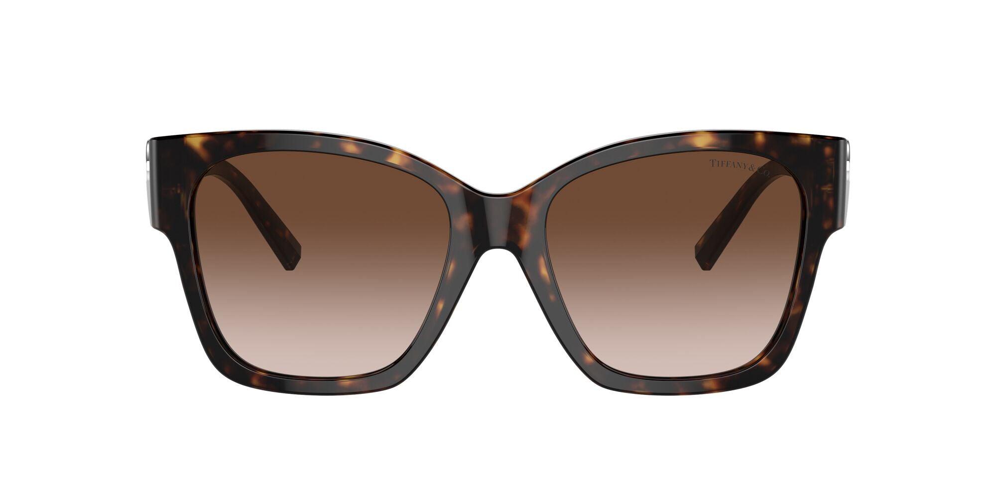 Tiffany & Co. | 4216 | Havana - iKANDi Sunglasses