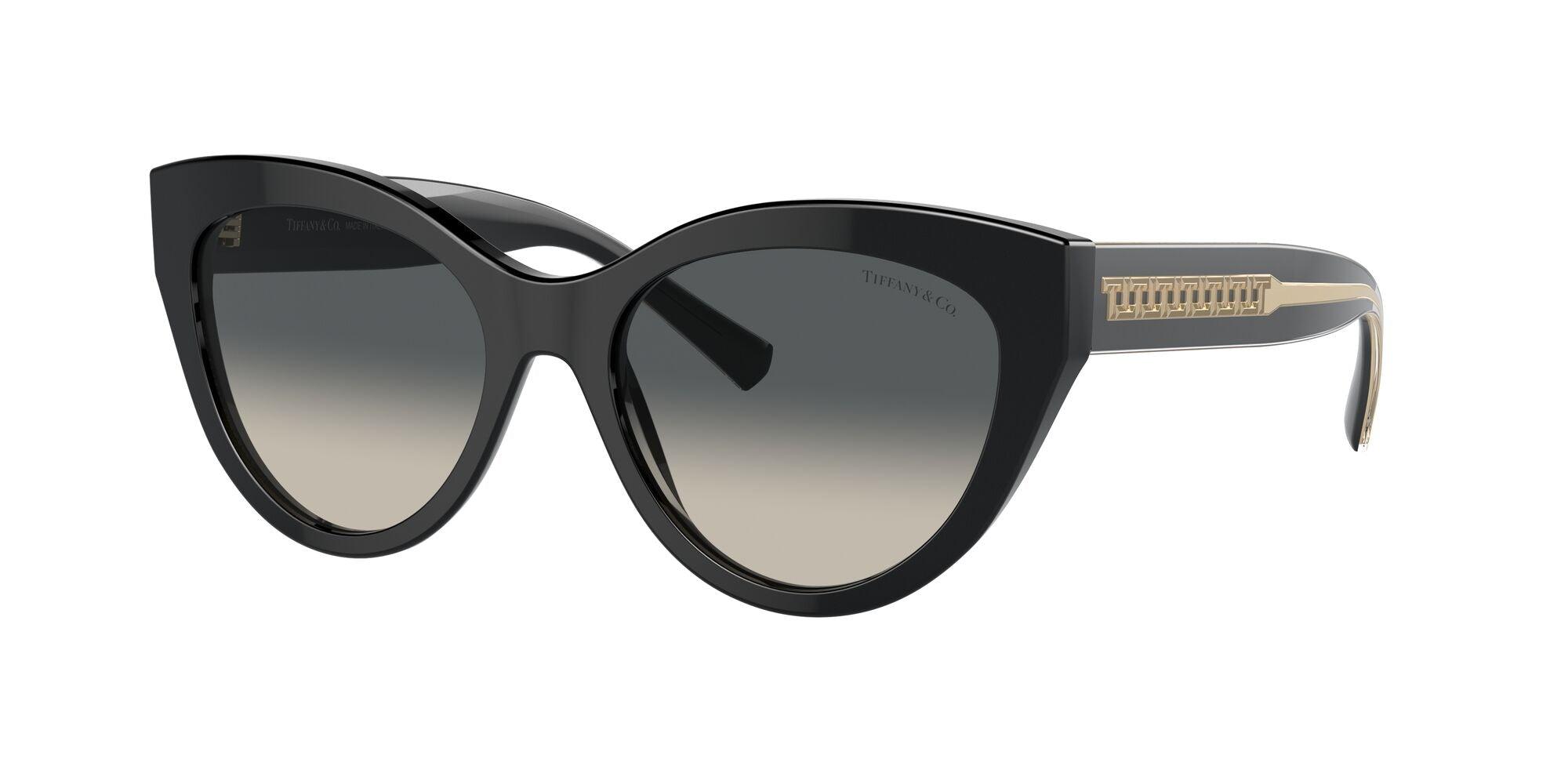 Tiffany & Co. | 4220F | Black - iKANDi Sunglasses
