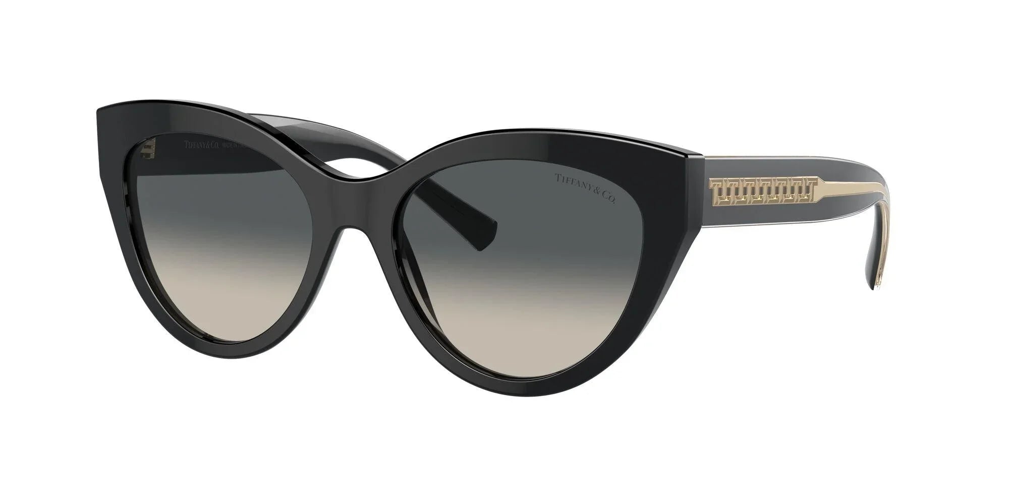 Tiffany & Co. | 4220F | Black - iKANDi Sunglasses