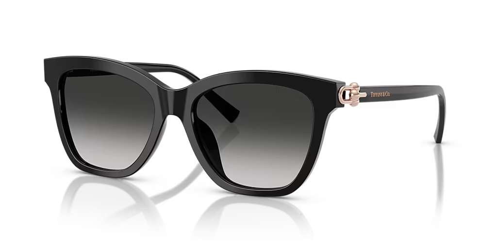 Tiffany & Co. | TF4241D | Black