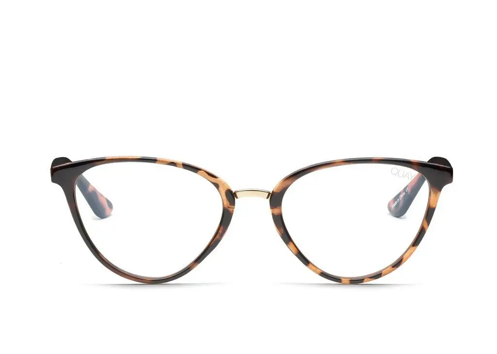 Quay | Rumours Blue Light | Tortoise