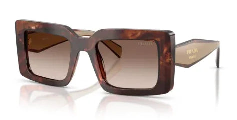 Prada | PRD01S | Caramel Tort Gradient Brown