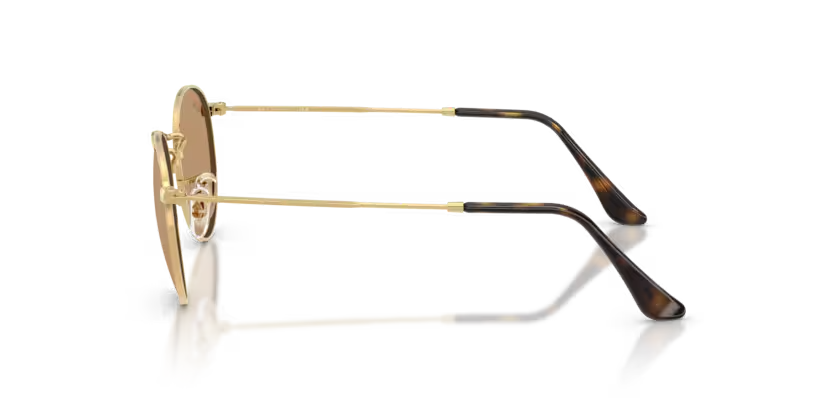 Ray-Ban | Round Metal RB3447 | Arista Brown