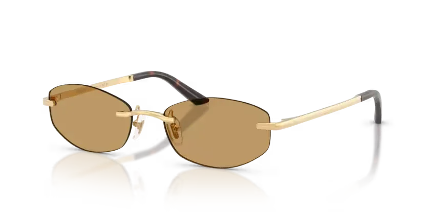 Versace | VE2308D | Gold Versace Brown