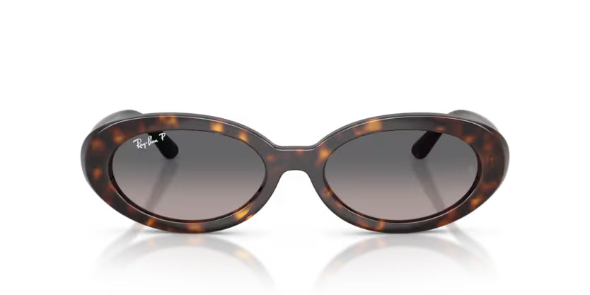 Ray-Ban | RB2223 | Havana Gradient Grey Polarised
