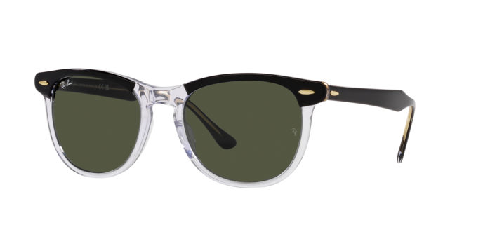 Ray-Ban | 2398 Eagleeye L | Black on Transparent