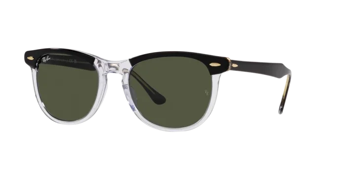 Ray-Ban | 2398 Eagleeye L | Black on Transparent