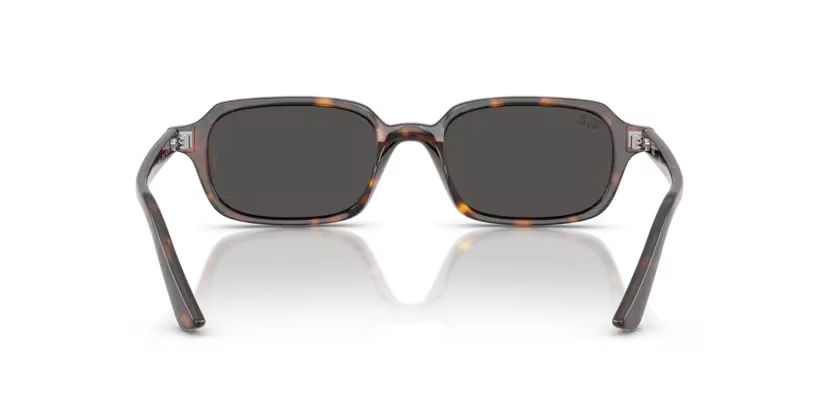 Ray-Ban | RB4455 Zuri | Havana Dark Grey Lens