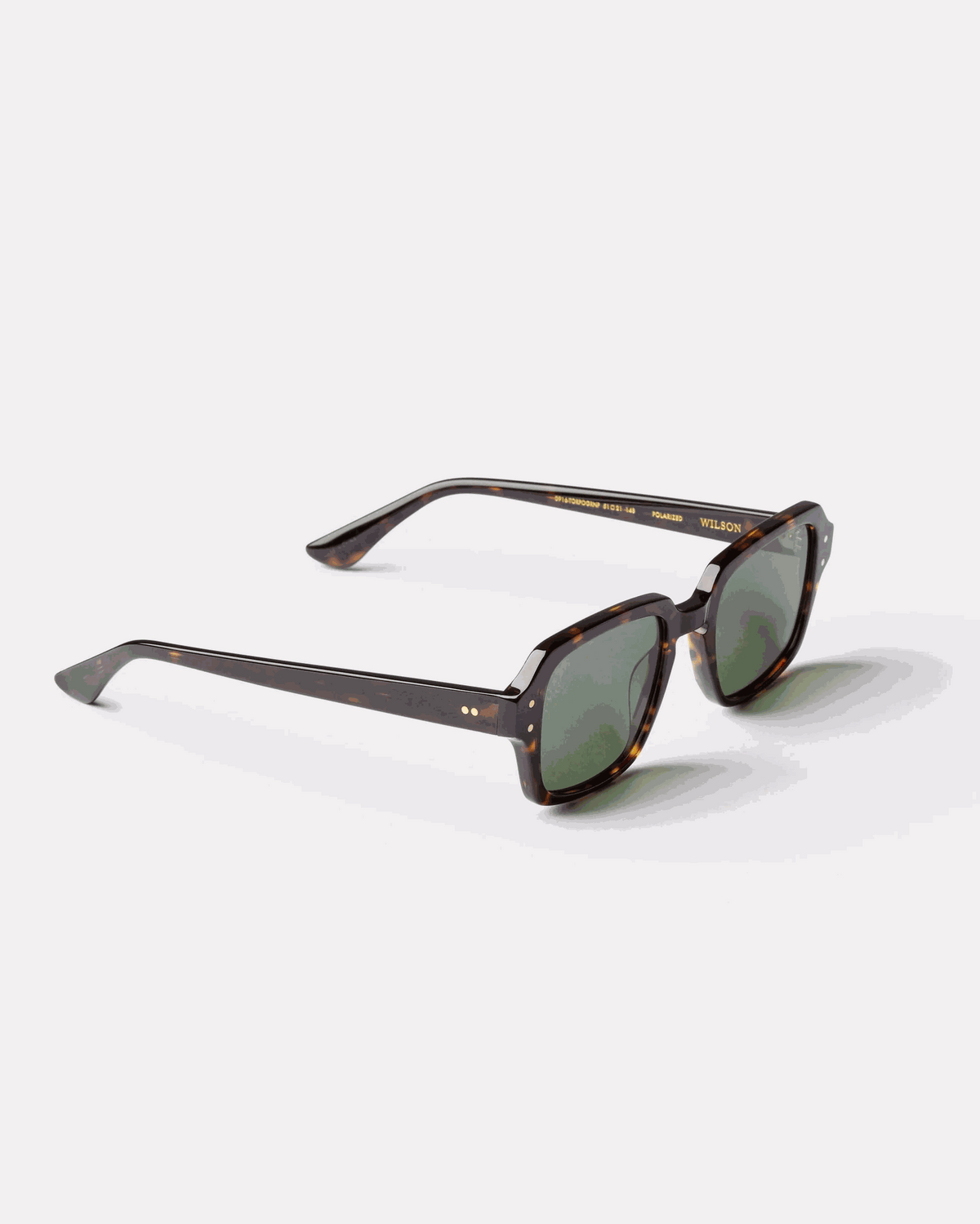 Epokhe_Wilson_Tortoise_Polished_Green_Polarised_5