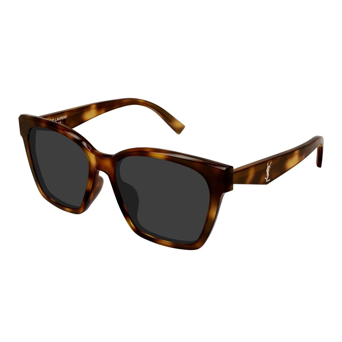 Saint Laurent |SLM171F | Havana