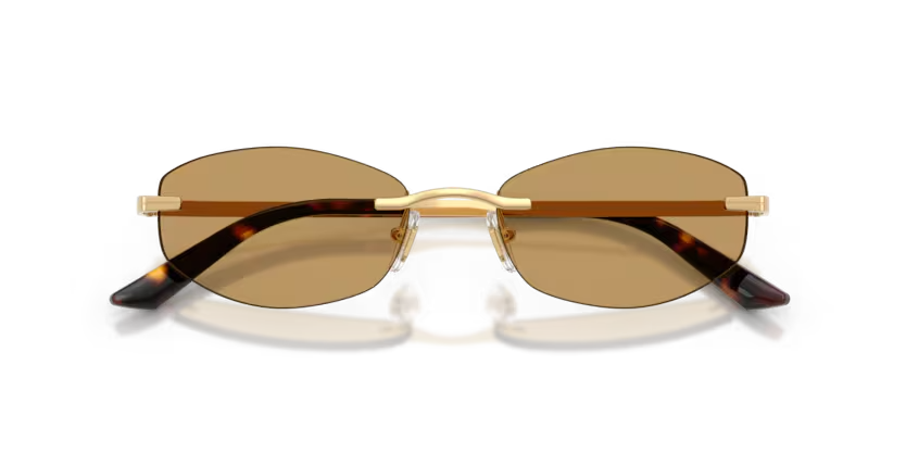 Versace | VE2308D | Gold Versace Brown