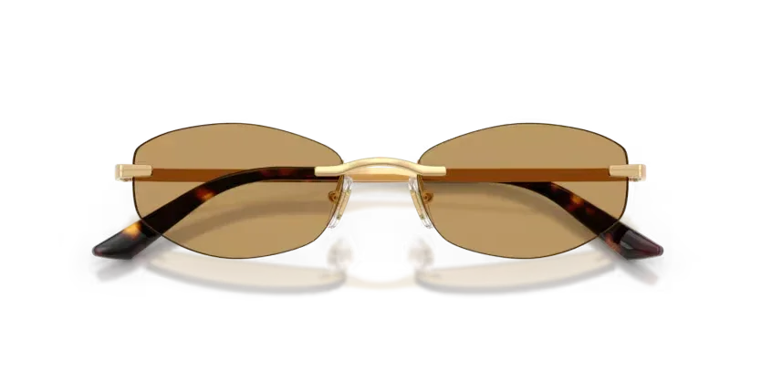 Versace | VE2308D | Gold Versace Brown