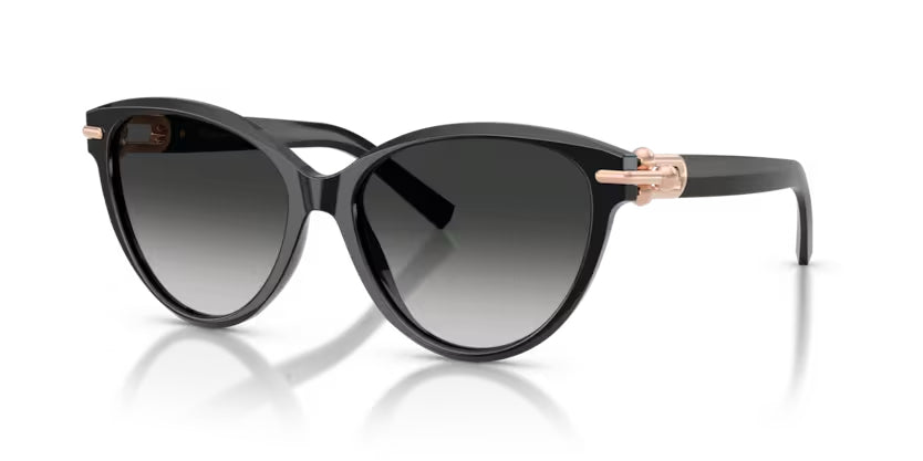 Tiffany & Co. | 4261 | Black Grey