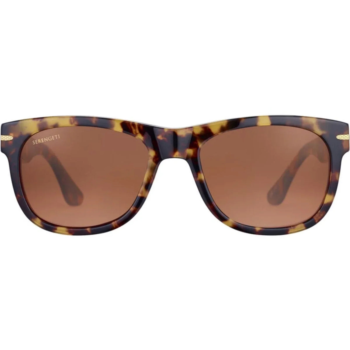 Serengeti_SS550002_Foyt_Large_Shiny_Havana_Brown_Photochromic_Polarised_1