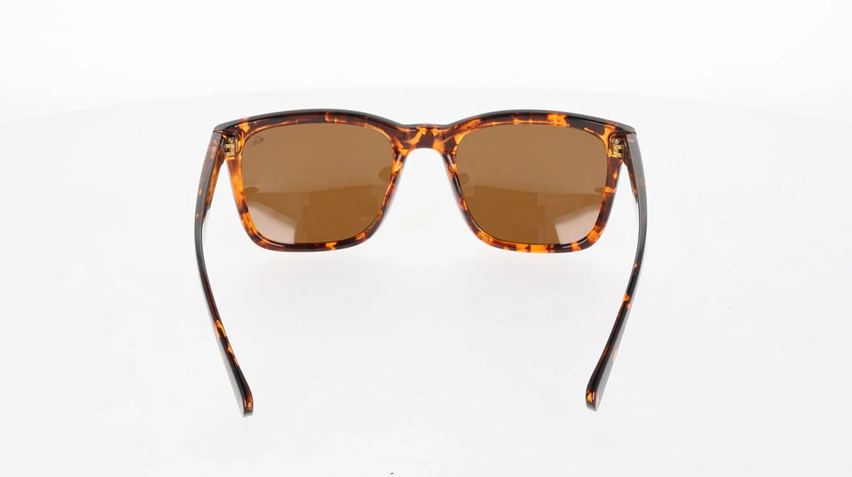 Quiksilver_QS1001P_Driftwood_Tort_Brown_Polarised_7