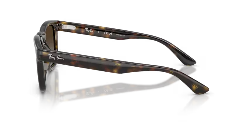 Ray-Ban | RB2238 | Havana Polarised
