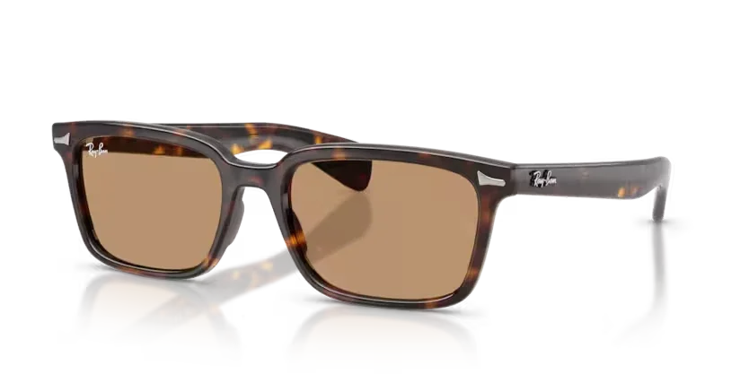Ray-Ban | RB2234 Brunel | Havana