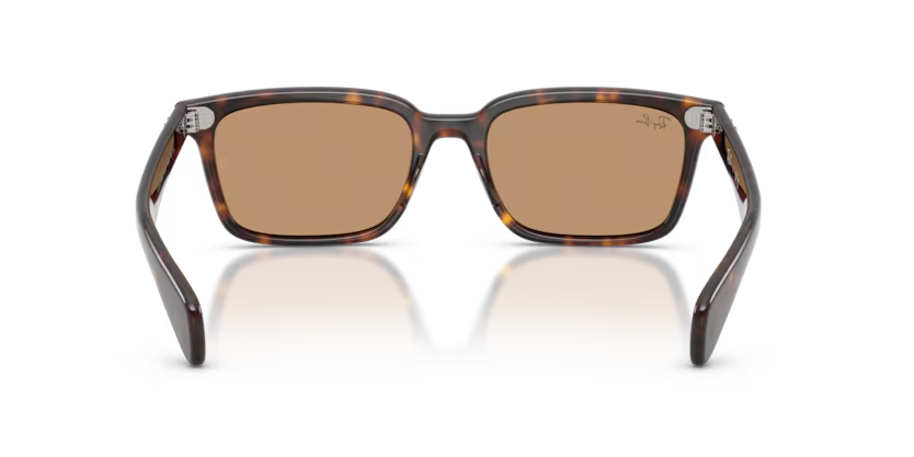 Ray-Ban | RB2234 Brunel | Havana