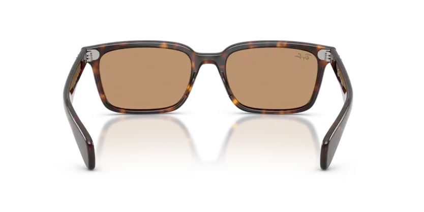 Ray-Ban | RB2234 Brunel | Havana
