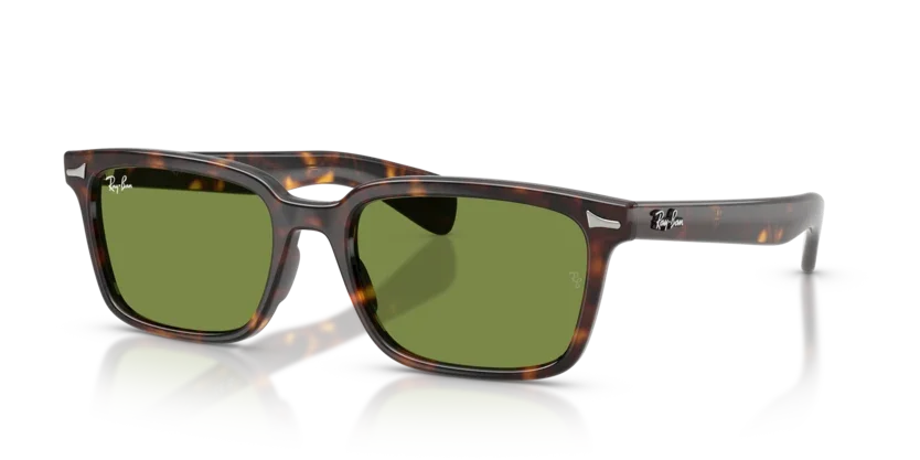 Ray-Ban | RB2234 Brunel L | Havana Green