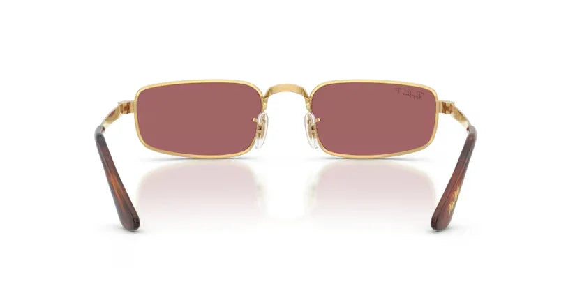 Ray-Ban | 3927 | Arista Purple Polarised