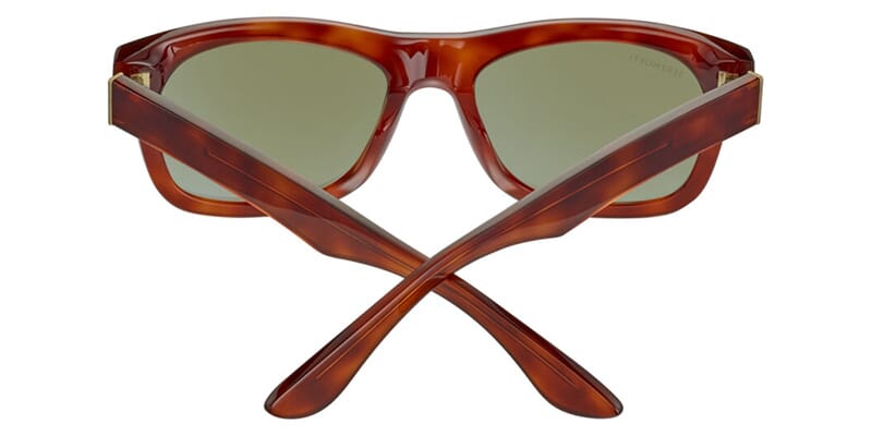 Serengeti_SS549001_Foyt_Shiny_Havana_Green_Photochromic_Polarised_3