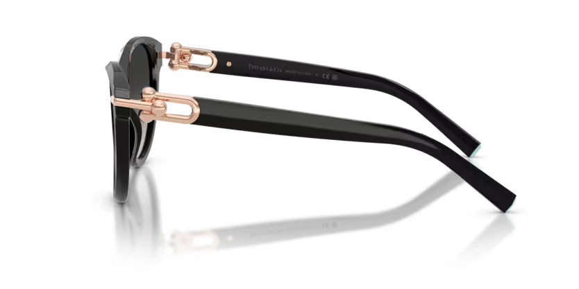 Tiffany & Co. | 4261 | Black Grey