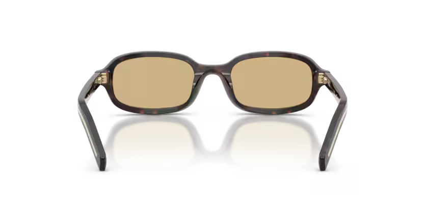 Prada | D06SF | Root Tortoise Light Brown