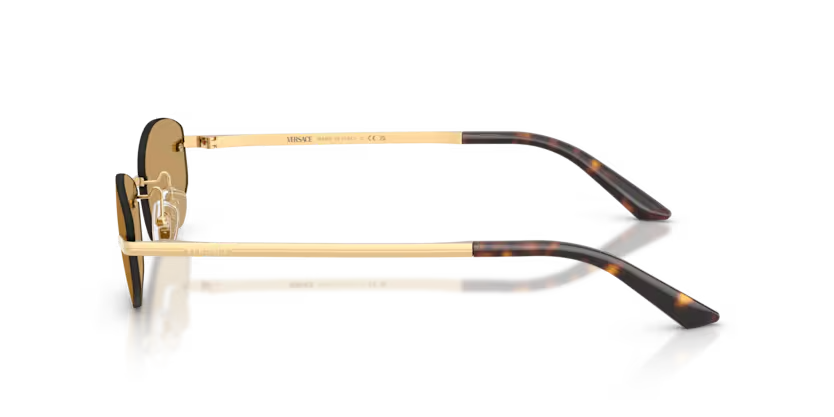 Versace | VE2308D | Gold Versace Brown