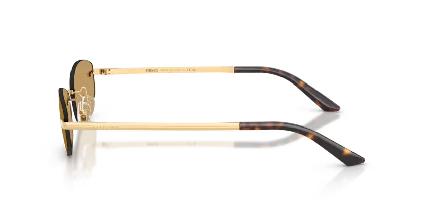 Versace | VE2308D | Gold Versace Brown