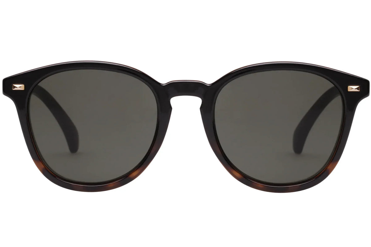 Le Specs | Bandwagon | Black Tort