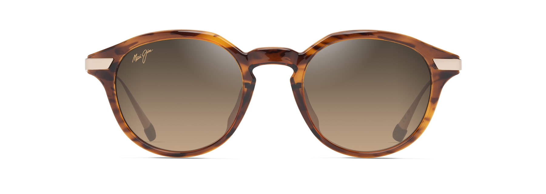 Maui Jim | Momi | Shiny Dark Havana