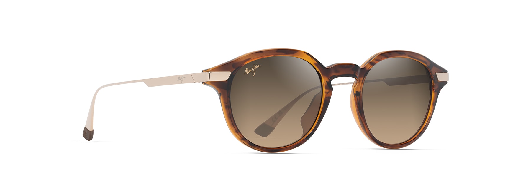 Maui Jim | Momi | Shiny Dark Havana