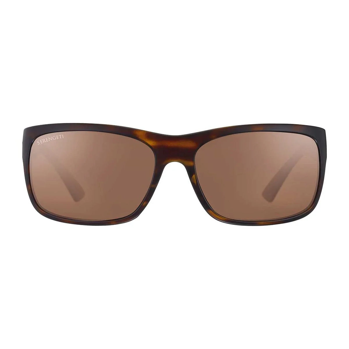 Serengeti | 8300 Pistoia | Dark Tortoise Polarised
