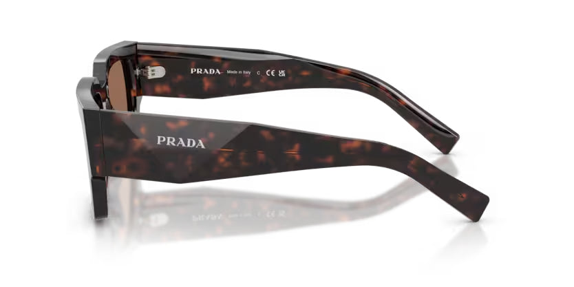 Prada_B17SF_Root_Tortoise_5