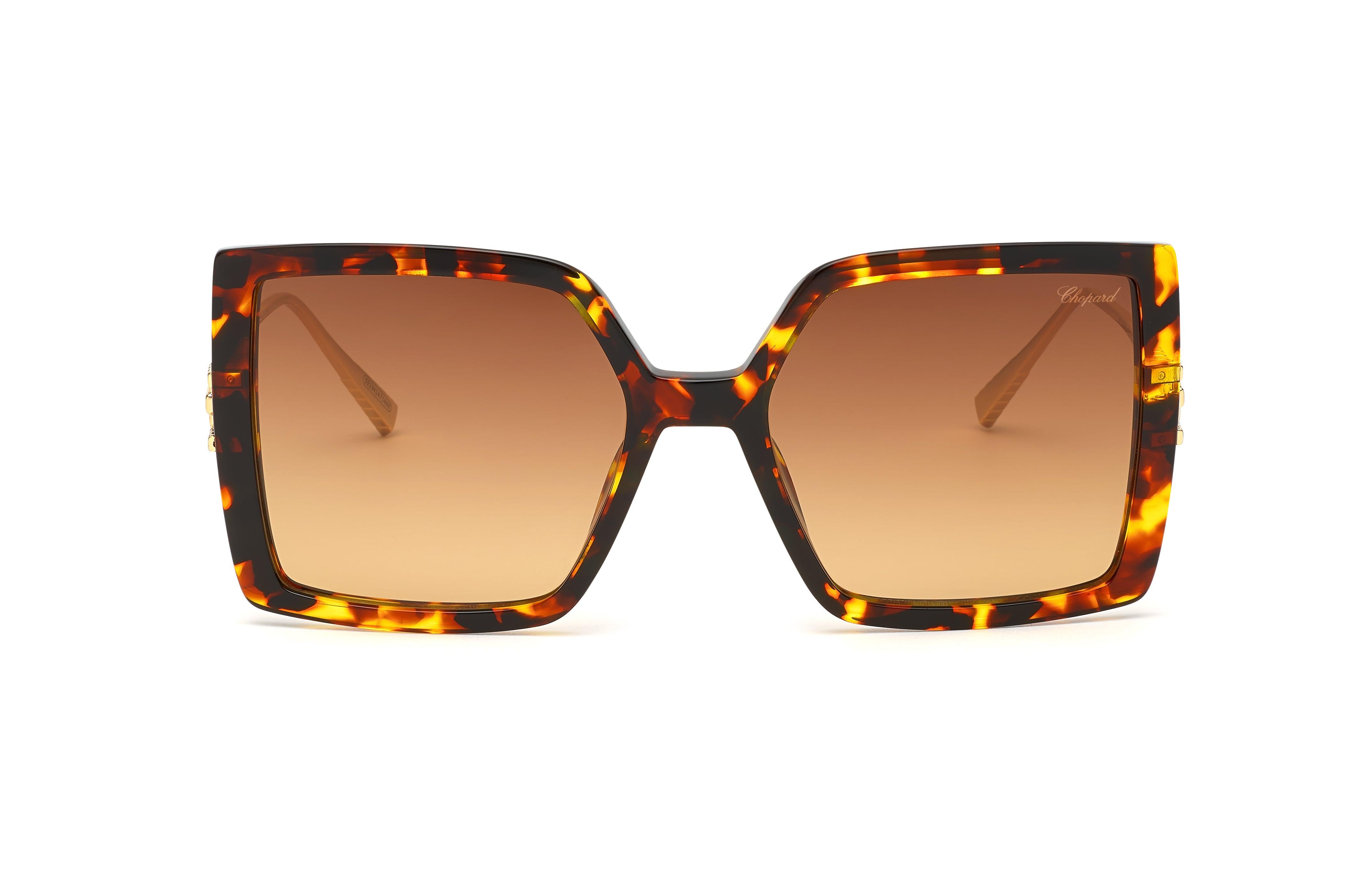 Chopard | SCH334 | Shiny Havana - iKANDi Sunglasses
