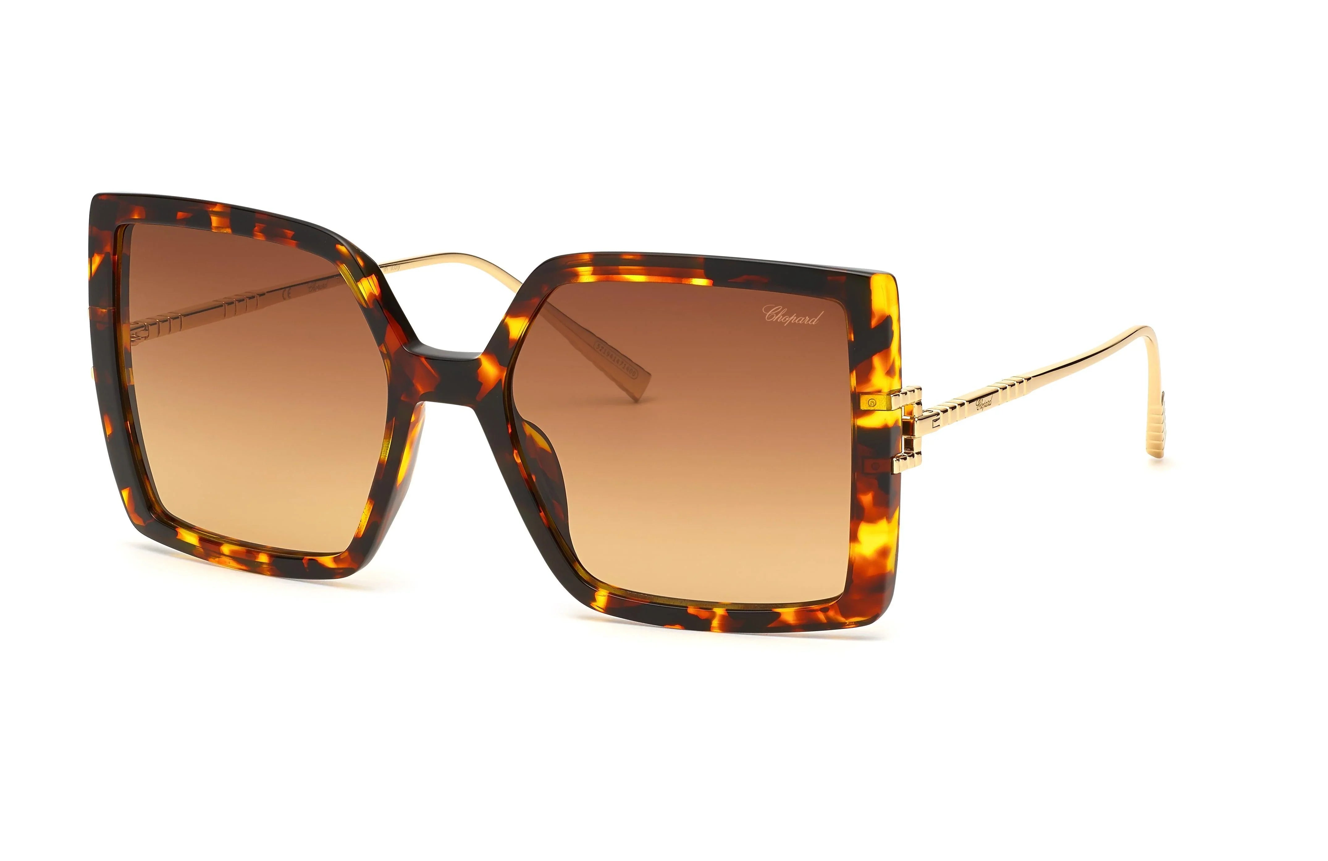 Chopard | SCH334 | Shiny Havana - iKANDi Sunglasses