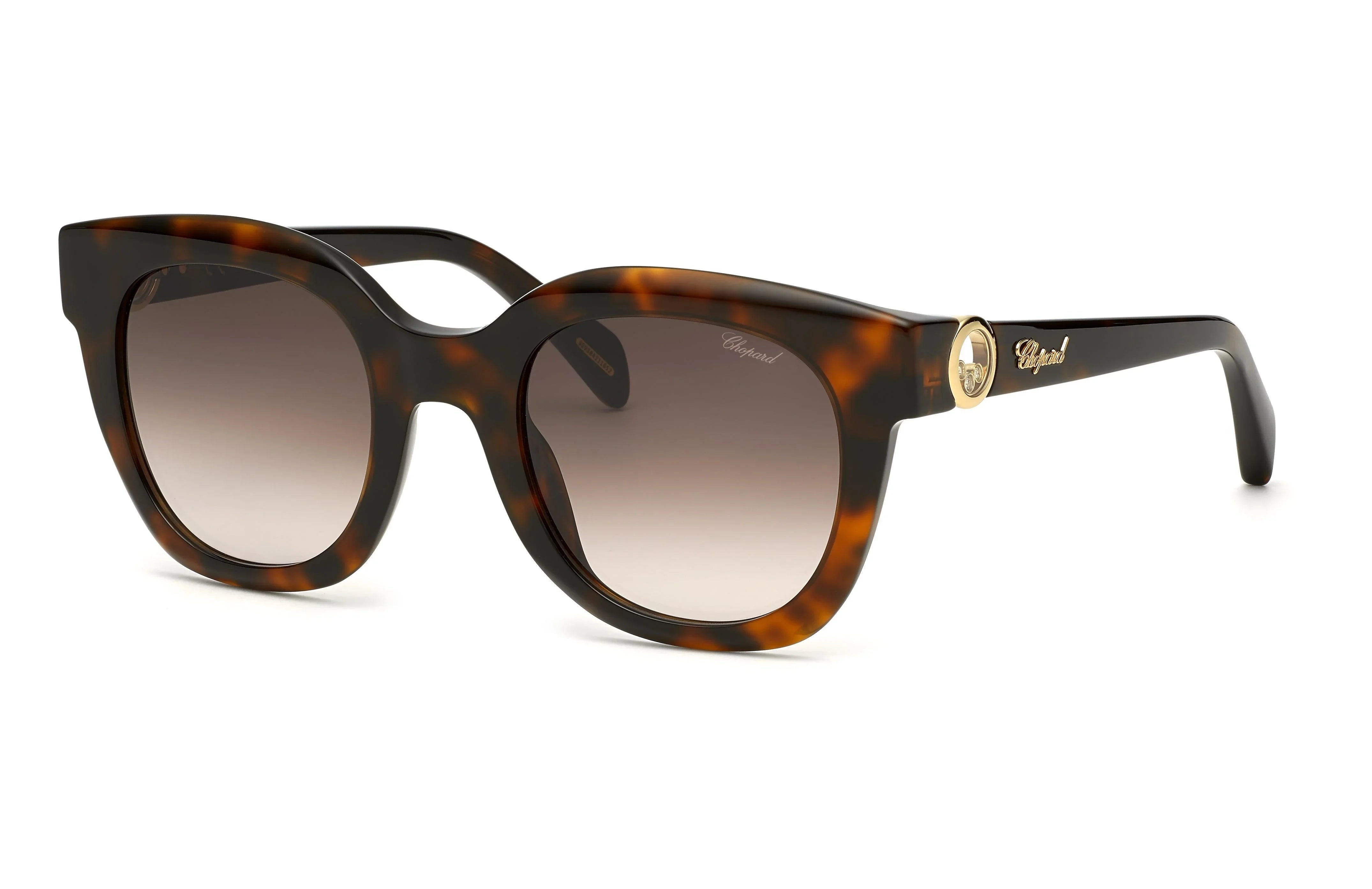 Chopard | SCH335S | Shiny Dark Havana - iKANDi Sunglasses