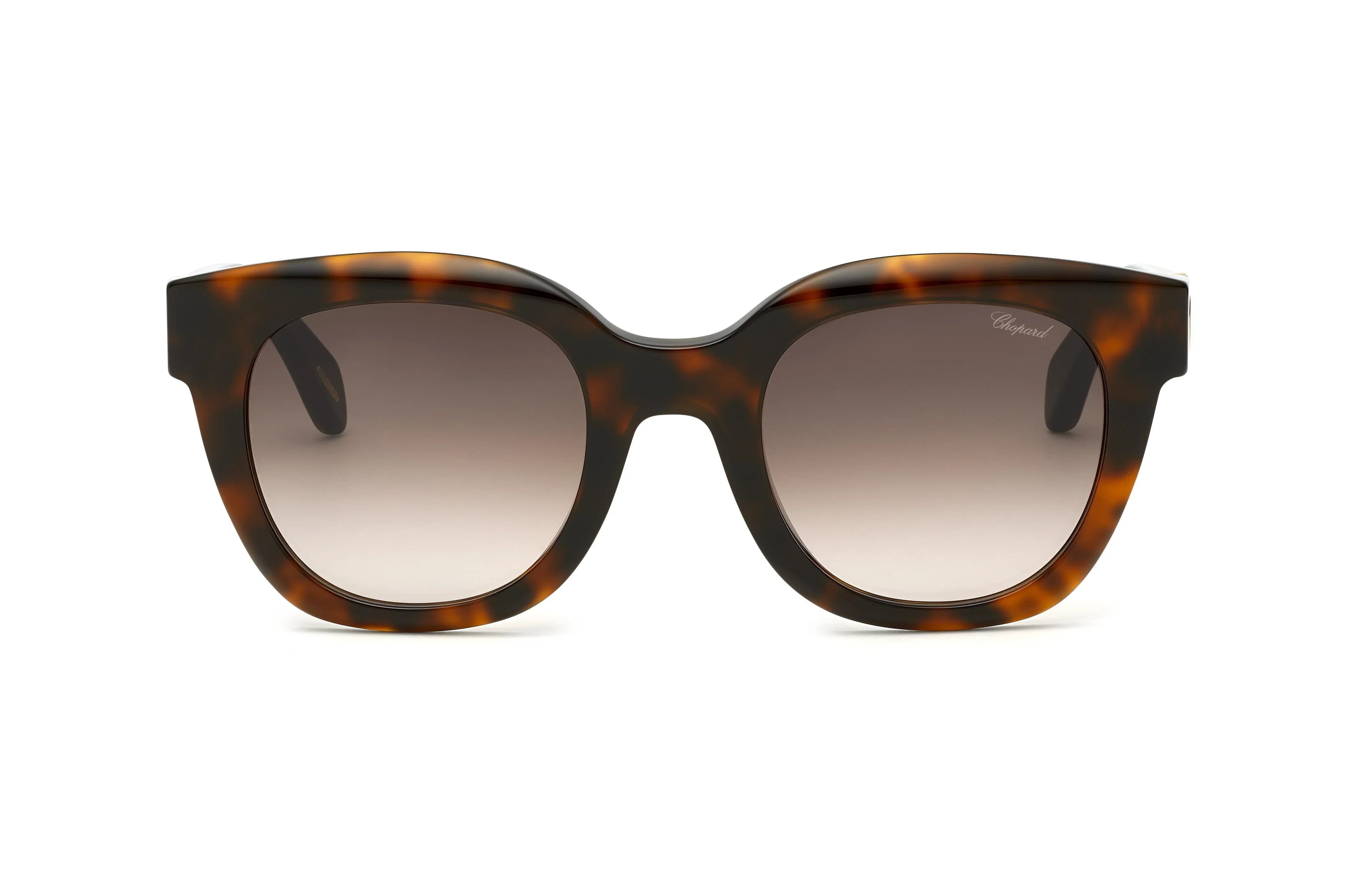 Chopard | SCH335S | Shiny Dark Havana - iKANDi Sunglasses