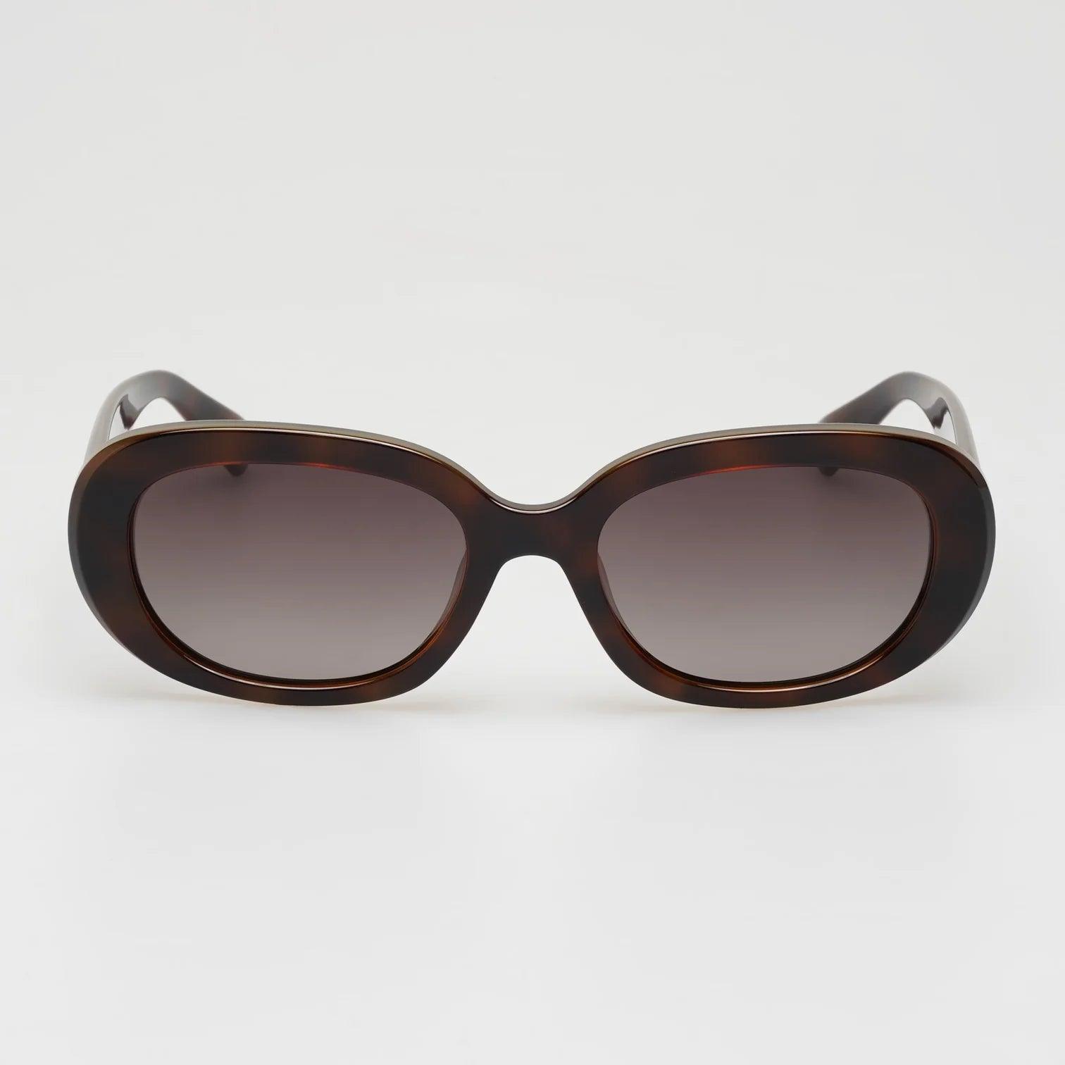 Locello | Anise | Tortoiseshell - iKANDi Sunglasses