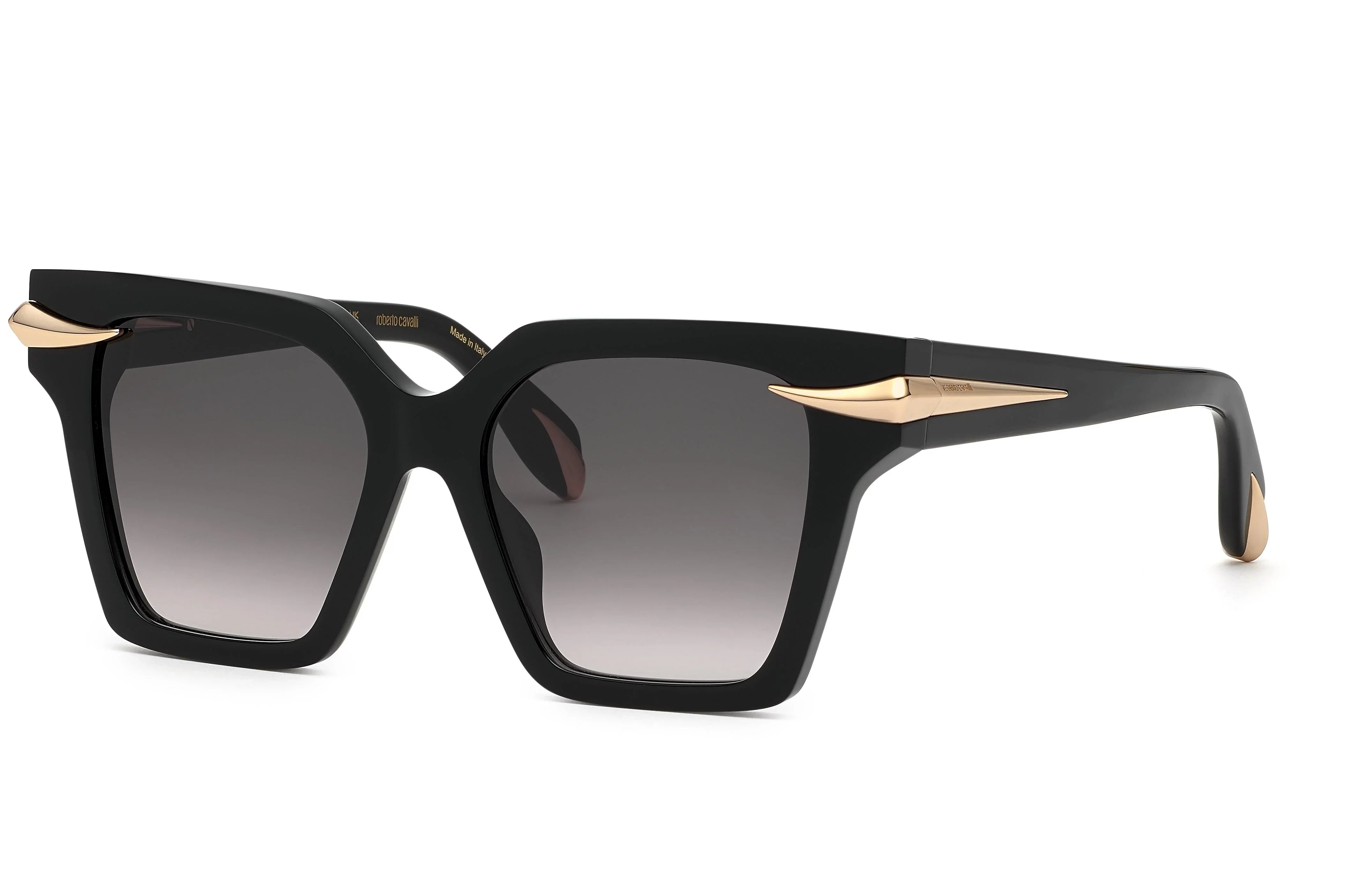 Roberto Cavalli | 002M | Shiny Black - iKANDi Sunglasses