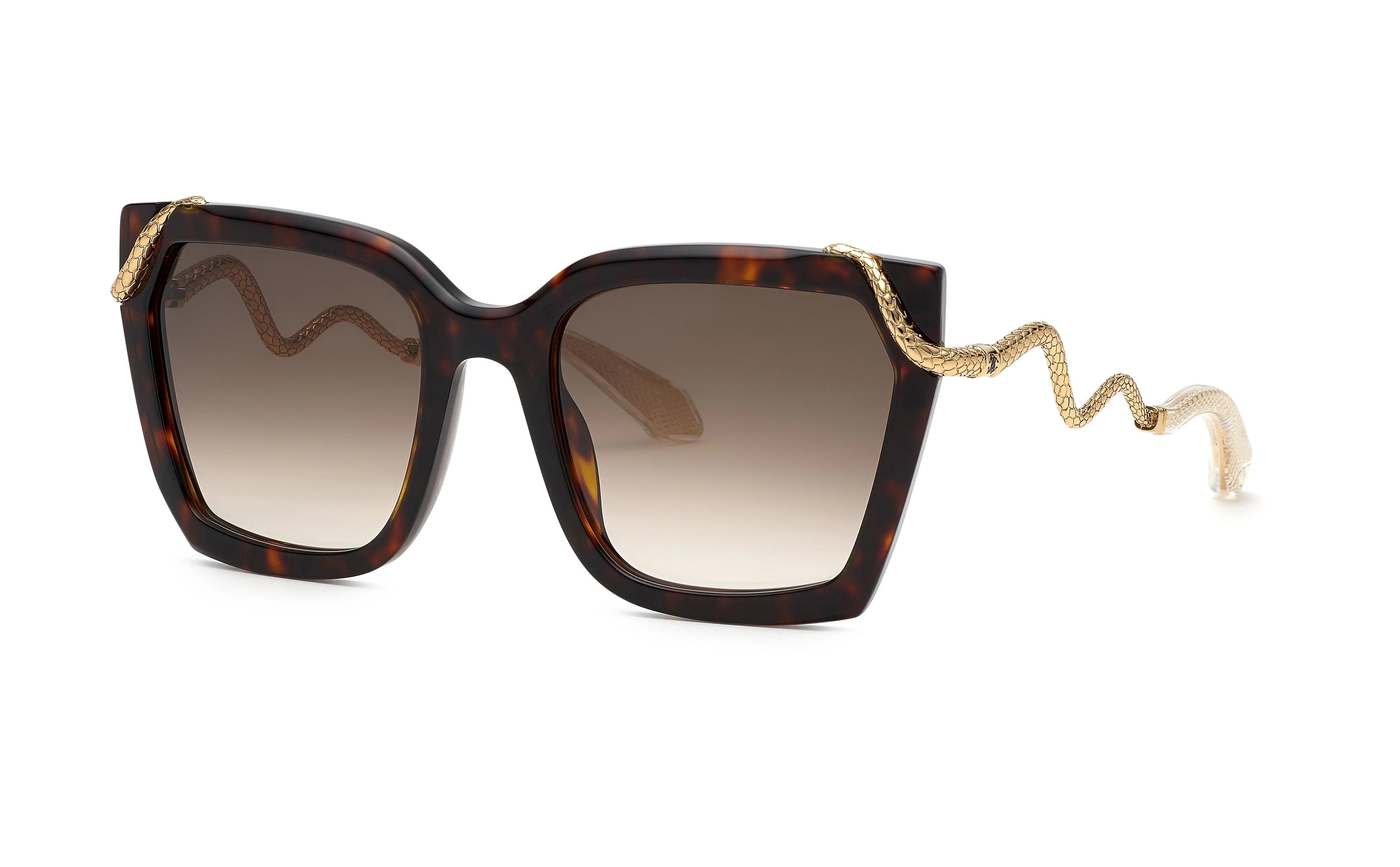 Roberto Cavalli | 034M | Shiny Brown/Yellow Havana - iKANDi Sunglasses